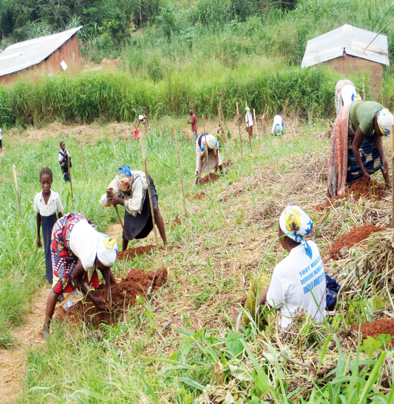 labourer-la-terre-avec-femmes Nos pépinières
