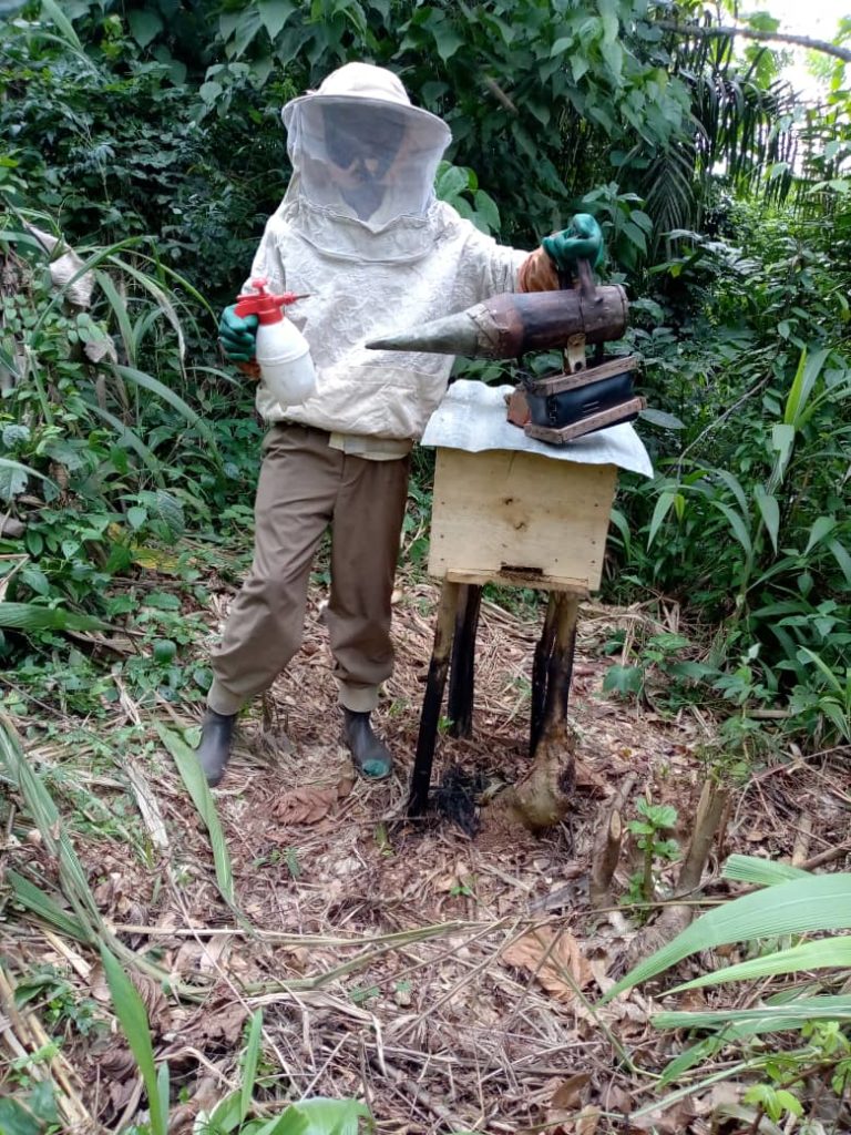 IMG-20210316-WA0008-768x1024 Apiculture