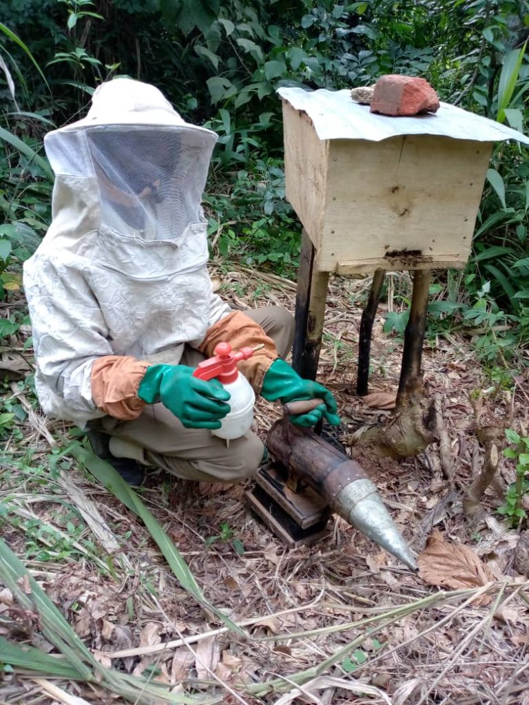 IMG-20210316-WA0010-768x1024 Apiculture