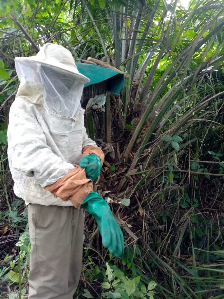 IMG-20210316-WA0012-768x1024 Apiculture