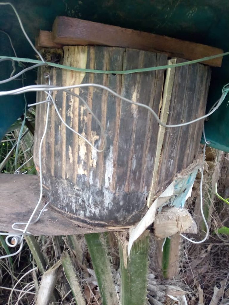 IMG-20210328-WA0016-768x1024 Apiculture