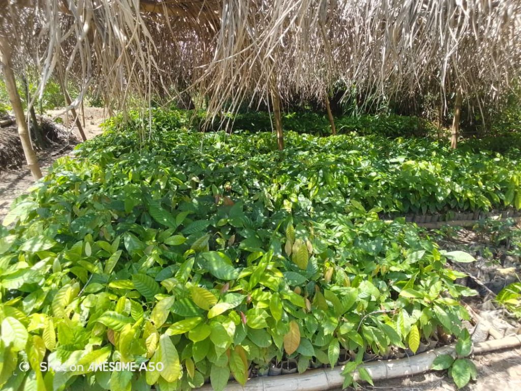 IMG-20260407-WA0003-1-1024x768 PAR C AGROECOLOGIQUE