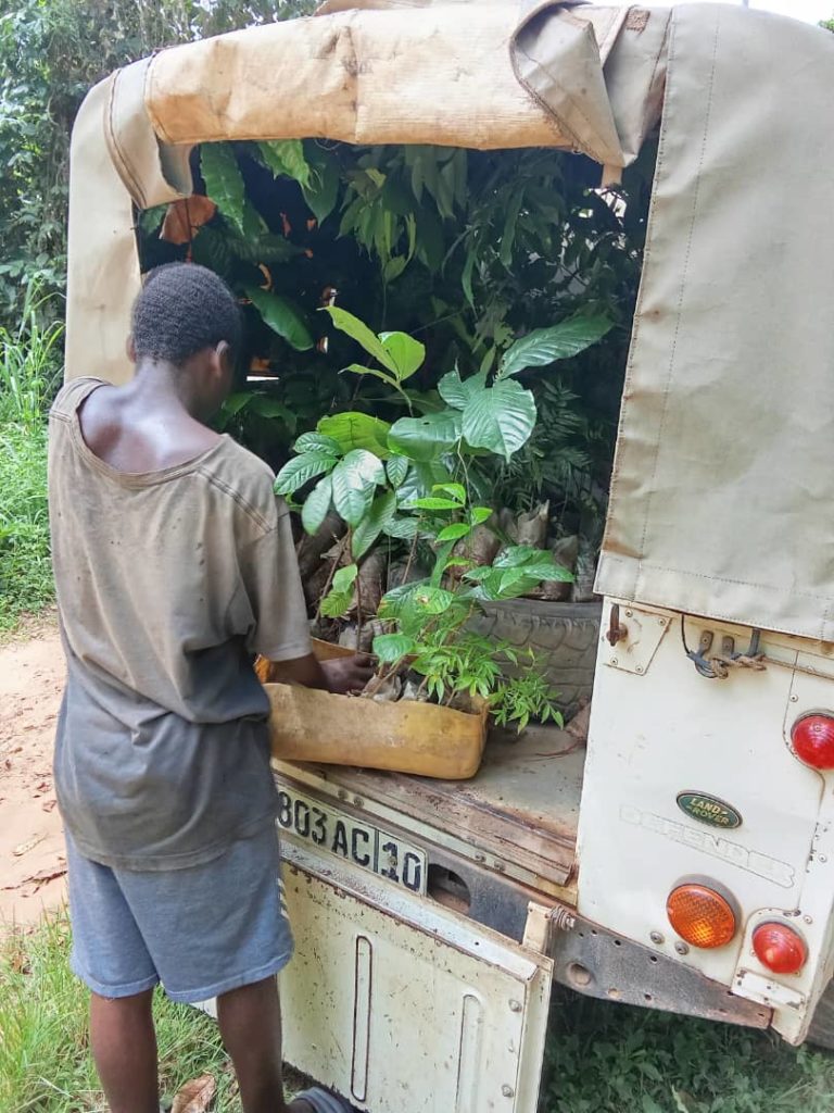 IMG-20260407-WA0008-1-768x1024 PAR C AGROECOLOGIQUE