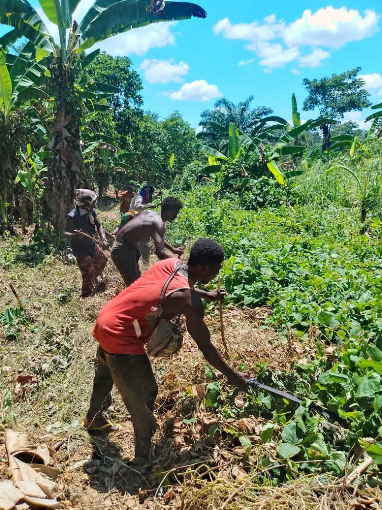 IMG-20260407-WA0010-1-768x1024 PAR C AGROECOLOGIQUE