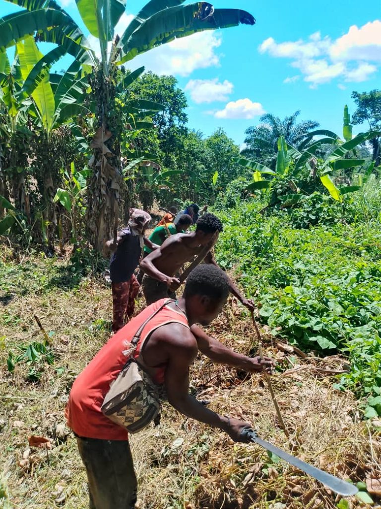 IMG-20260407-WA0011-1-768x1024 PAR C AGROECOLOGIQUE