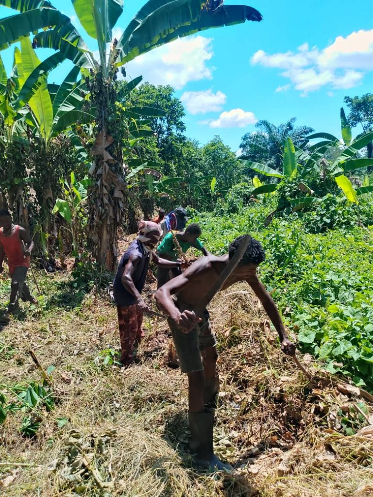 IMG-20260407-WA0012-1-768x1024 PAR C AGROECOLOGIQUE